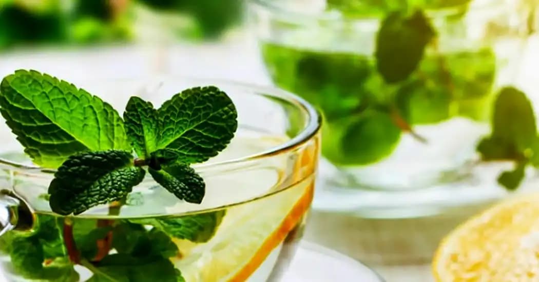 خواص نعناع؛ گیاه معطر با فواید شگفت‌انگیز برای سلامت بدن