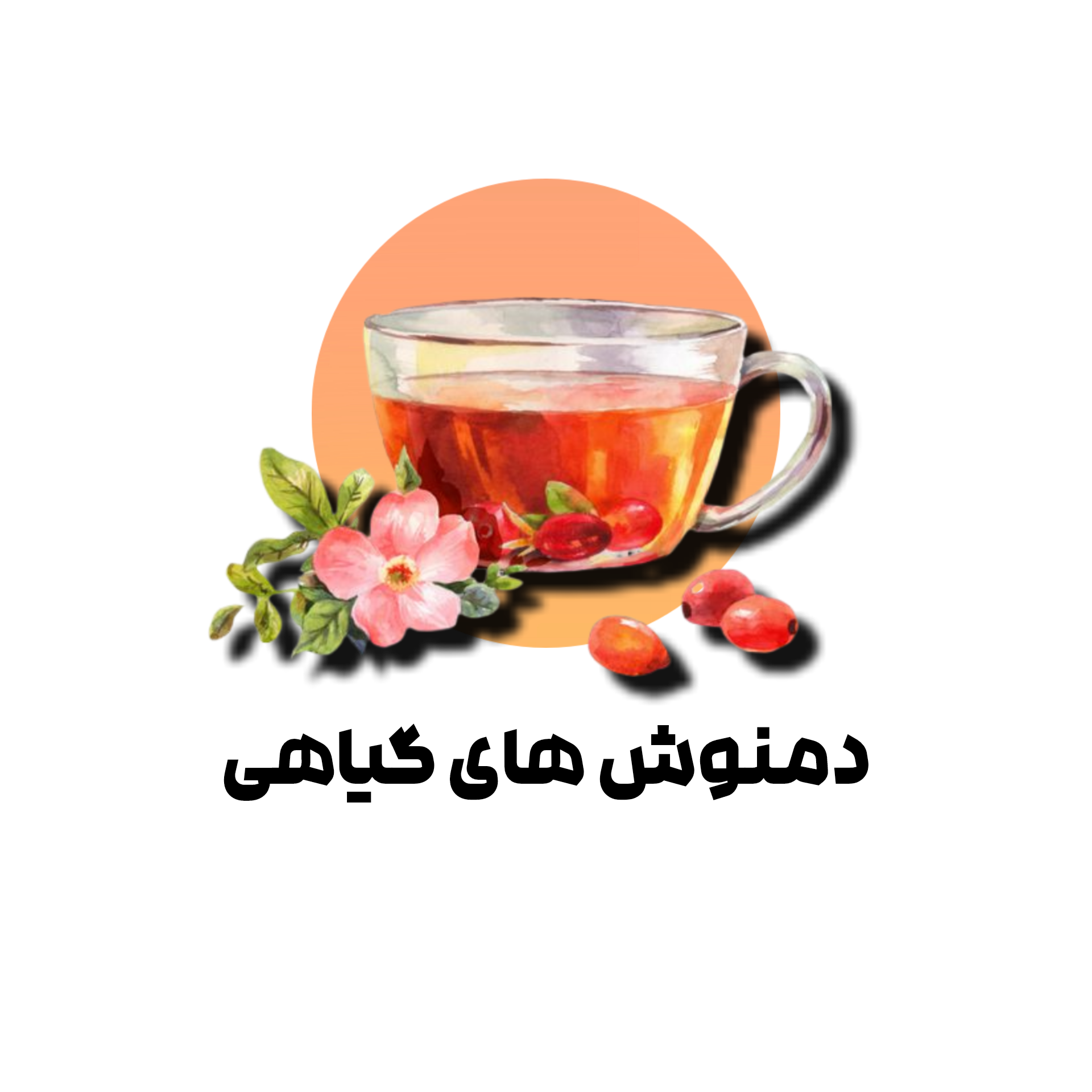 دمنوش های گیاهی