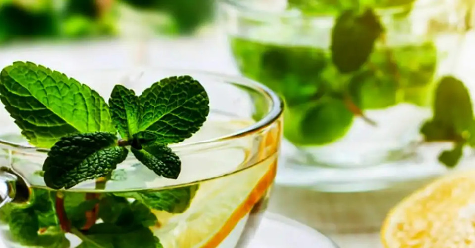 خواص نعناع؛ گیاه معطر با فواید شگفتانگیز برای سلامت بدن