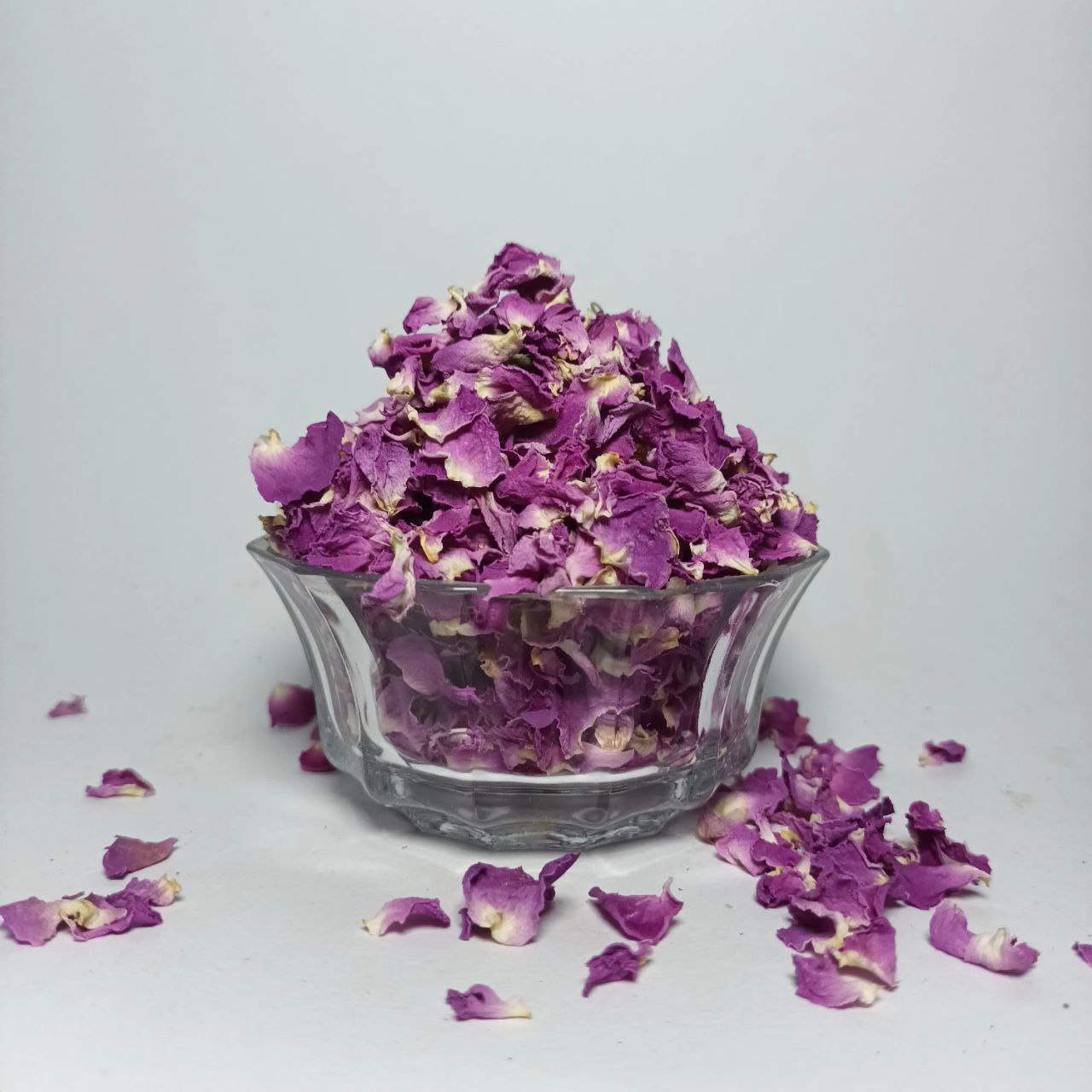 پر گل محمدی