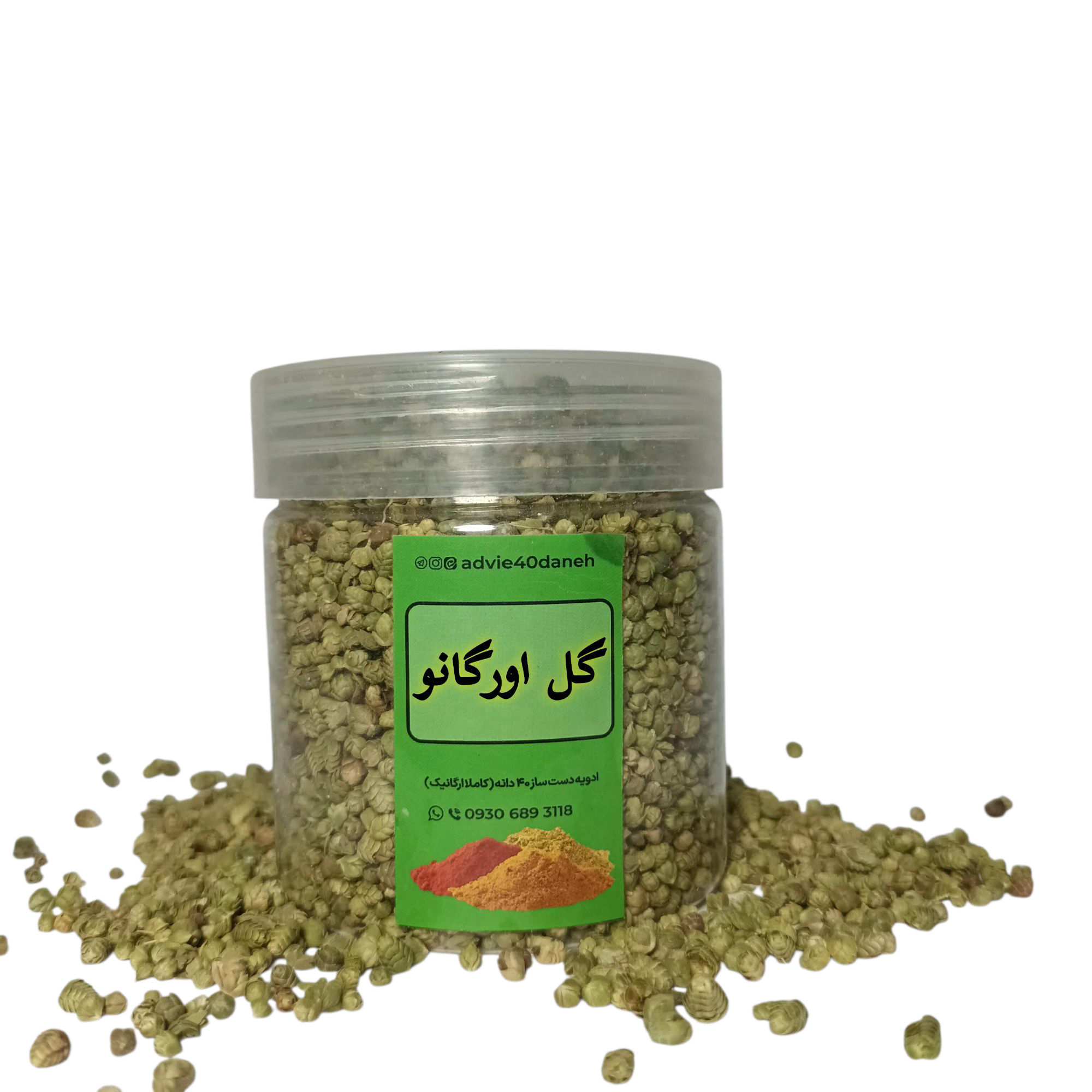 گل اورگانو