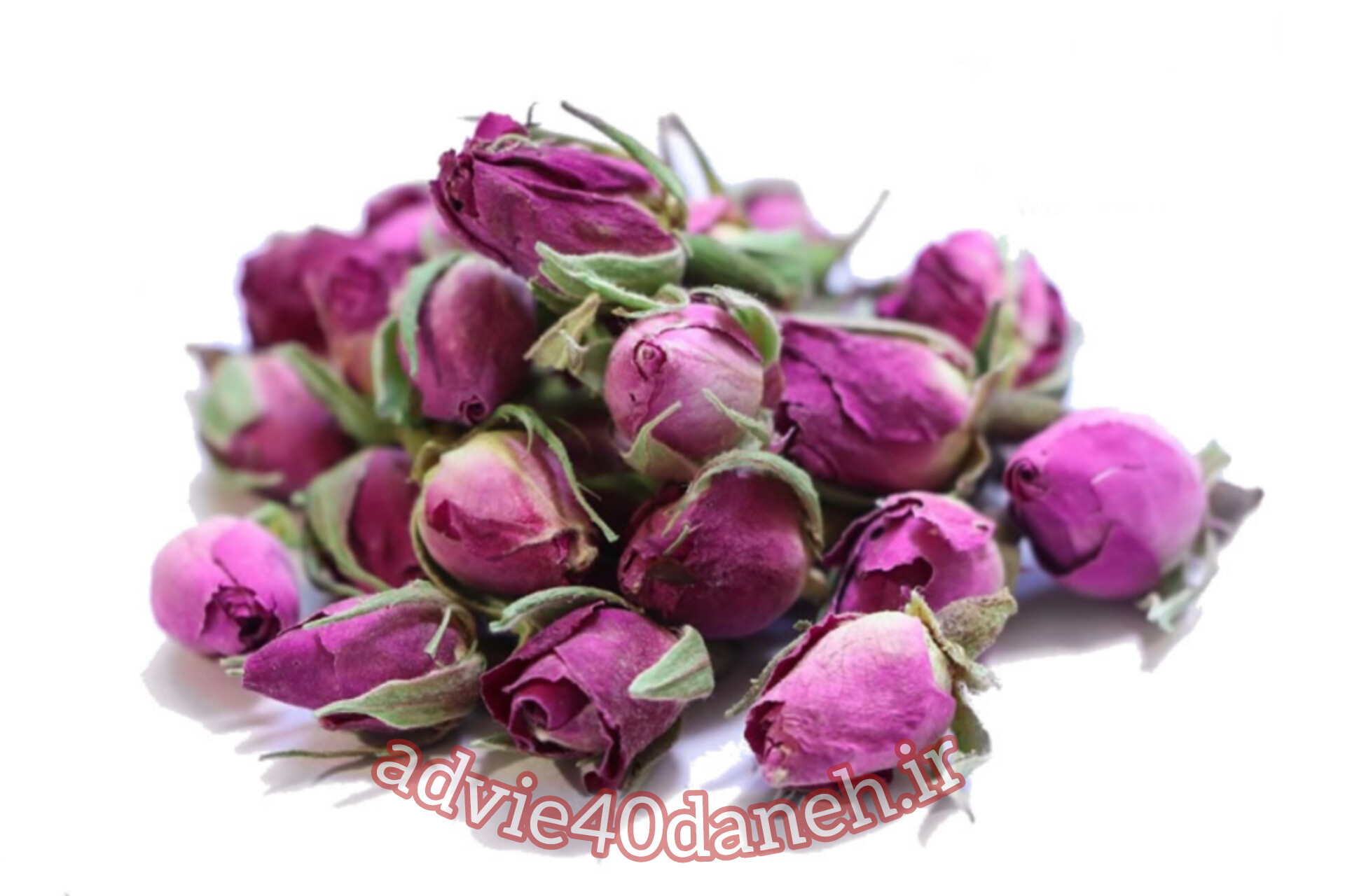 غنچه داراب