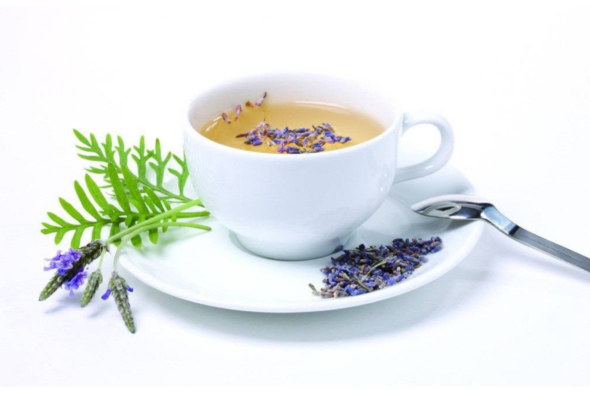 اسطوخدوس(بدون چوب)