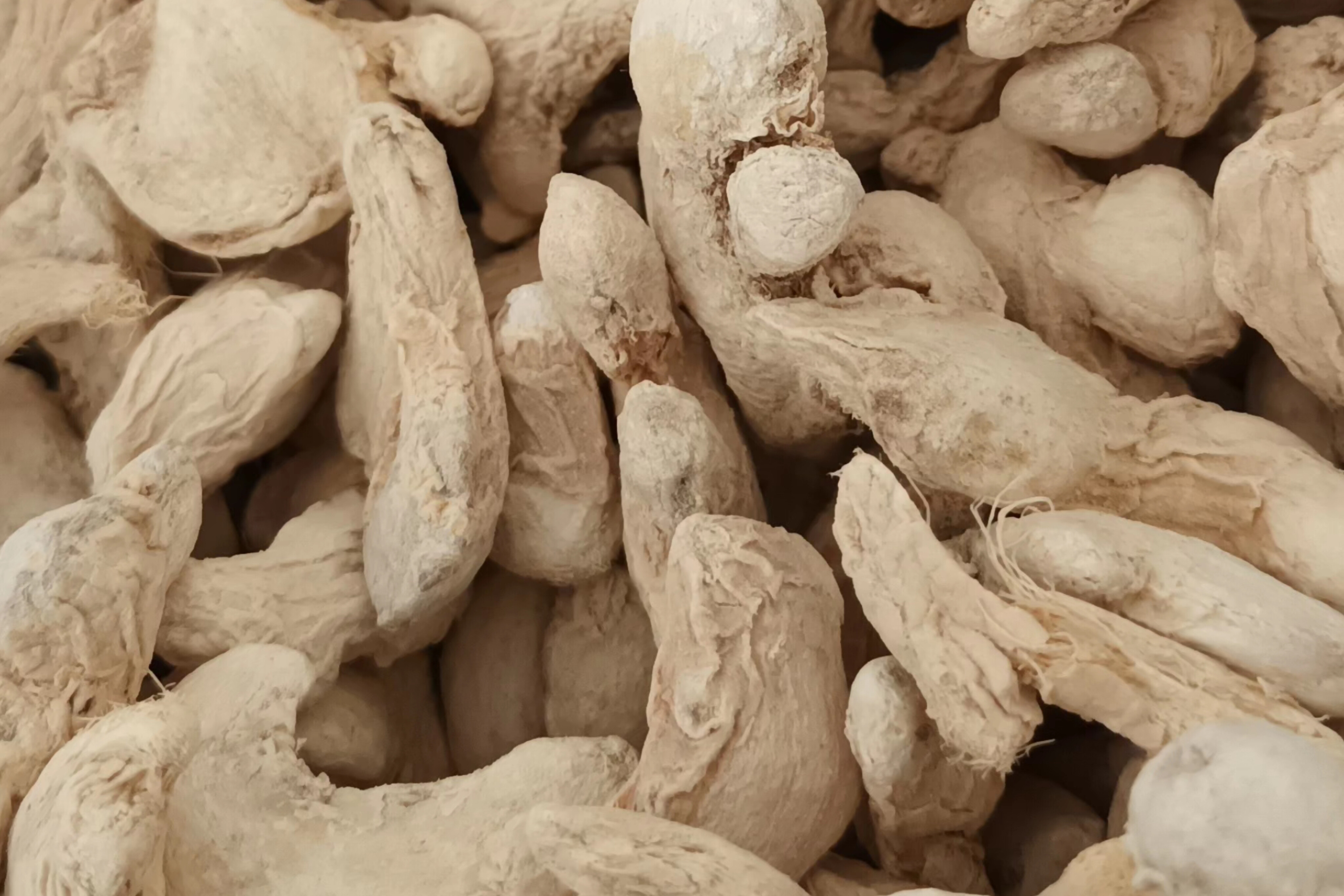 تصویر زنجبیل - 100 گرم / بسته پلاستیکی 