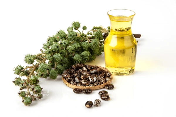 روغن کرچک