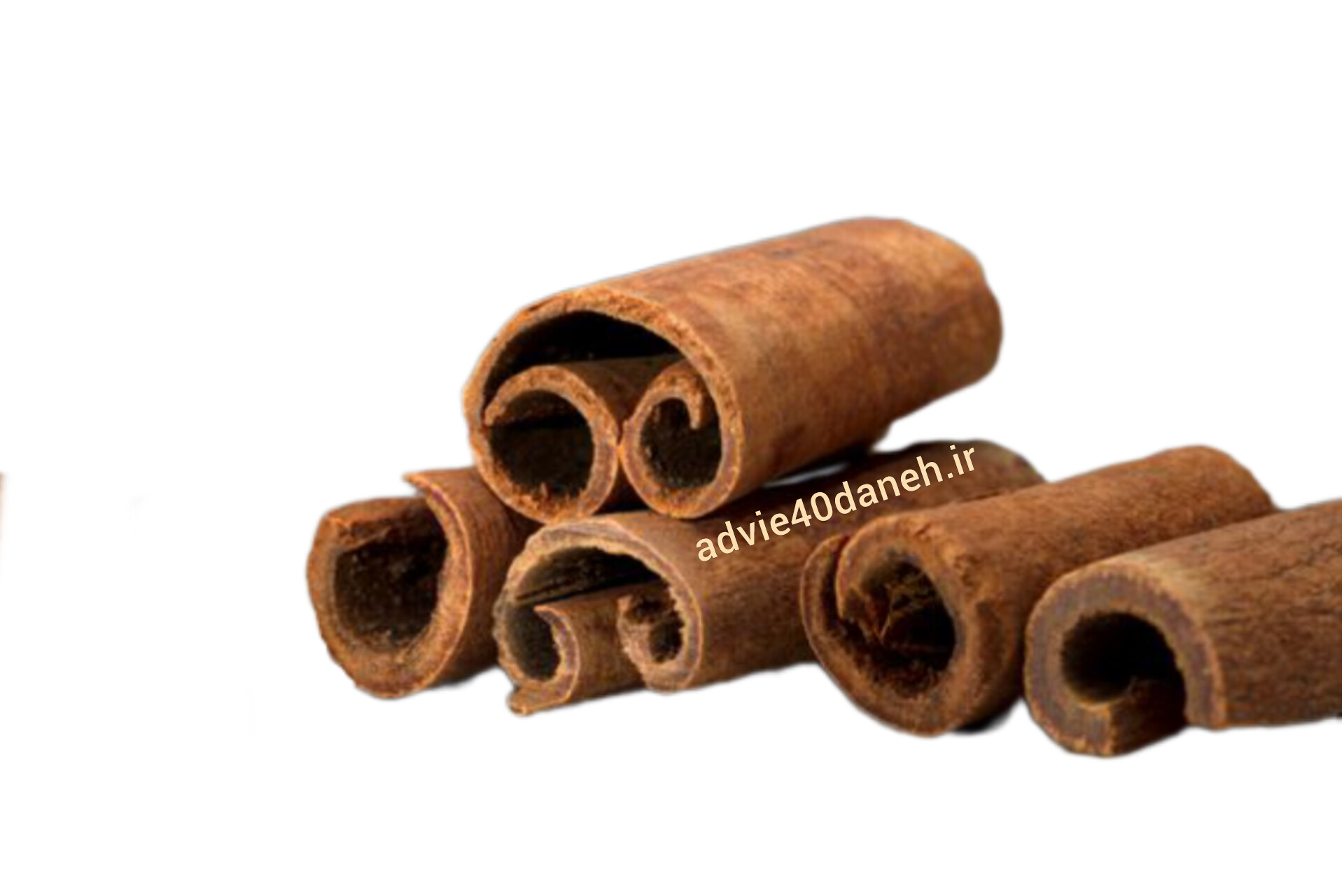 دارچین سیگاری