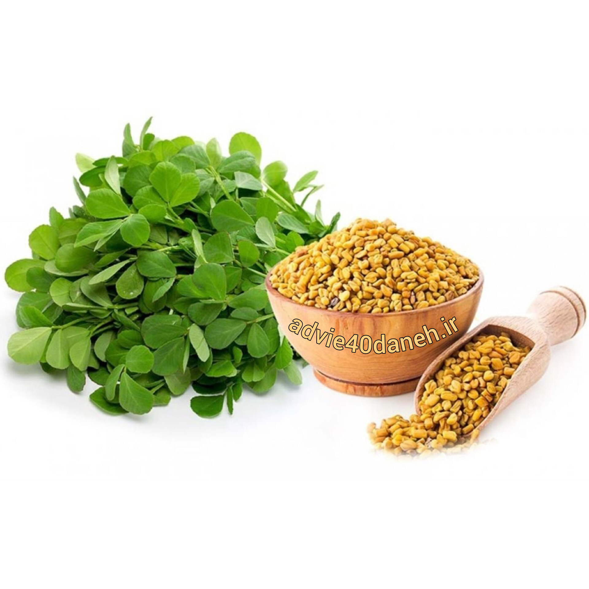 دان شنبلیله (خارجی)