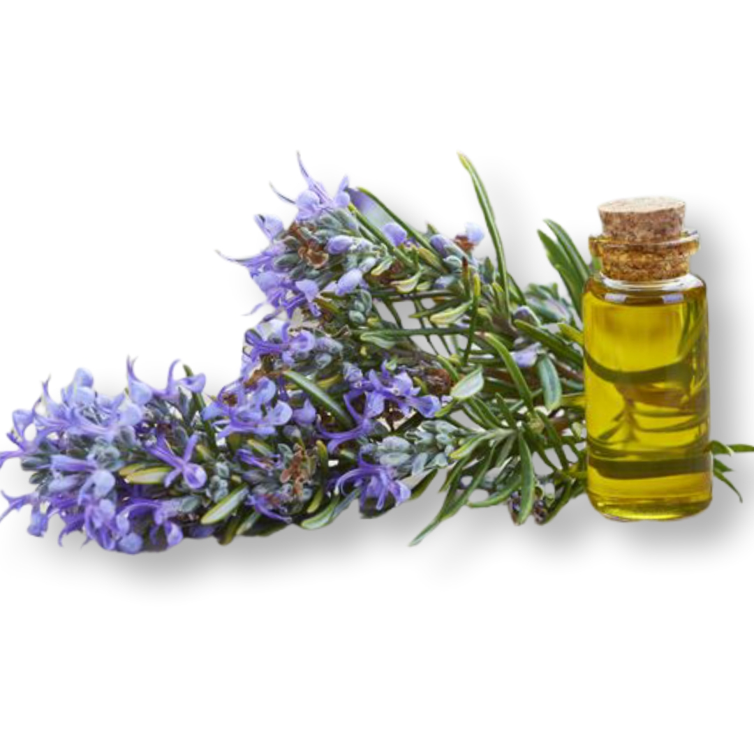 روغن رزماری