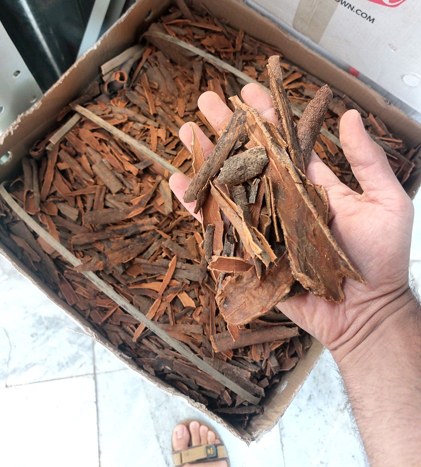 دارچین